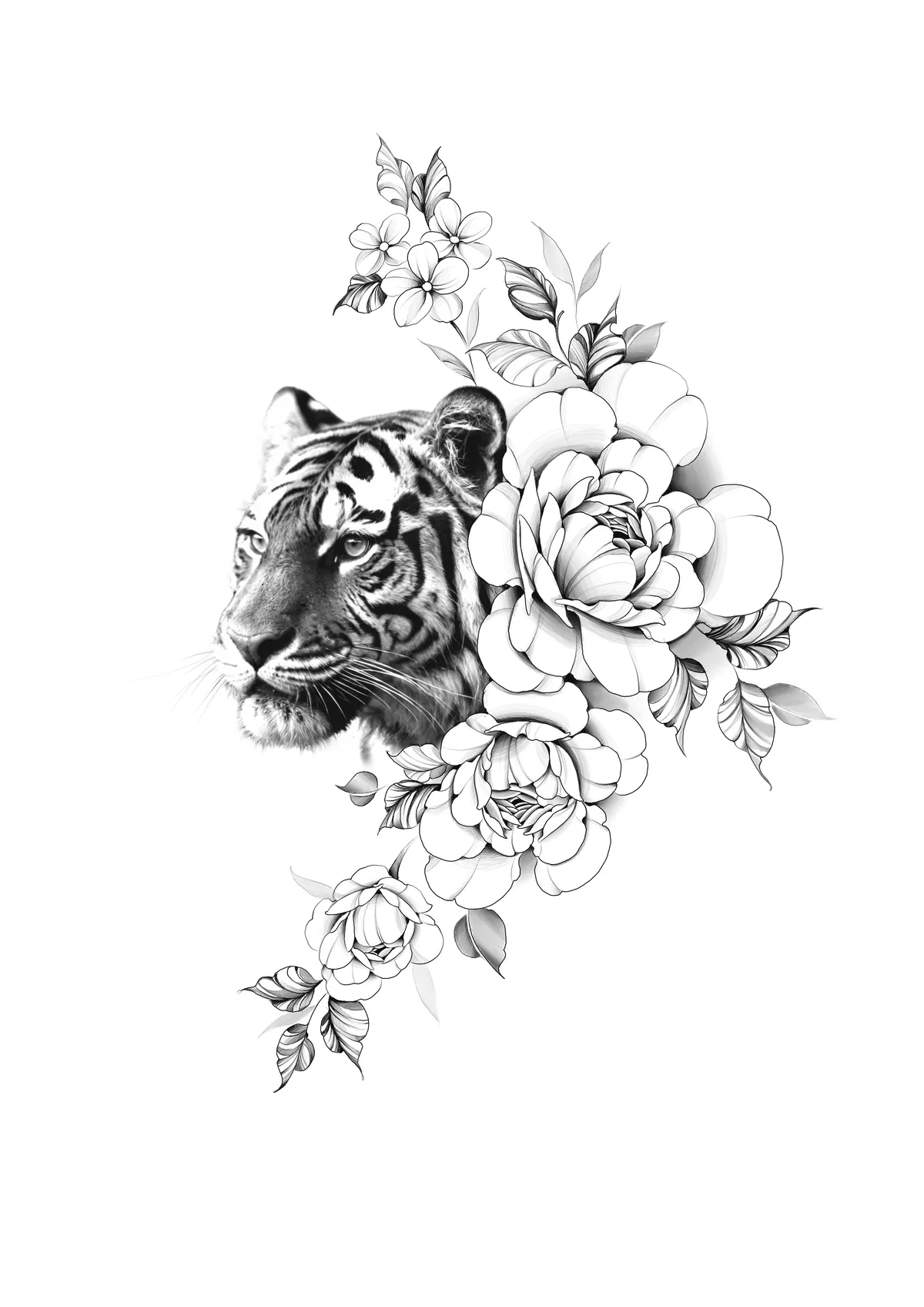 Dessin disponible — Tigre fleuri.