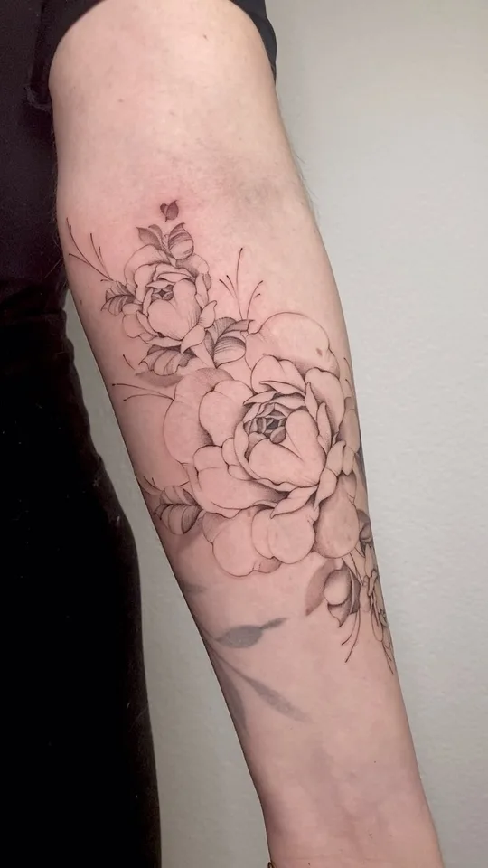 Pivoines, douces et élégantes