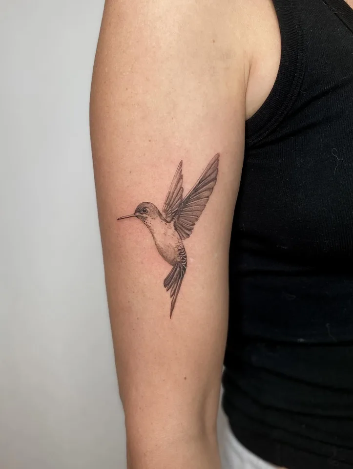 colibri — Mon oiseau favori sur mon soleil — Done with the bests — RDV -> — Bretigny Switzerland 🇨🇭