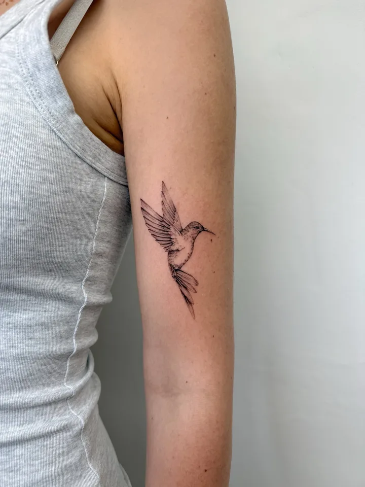 colibri — Pour Laura