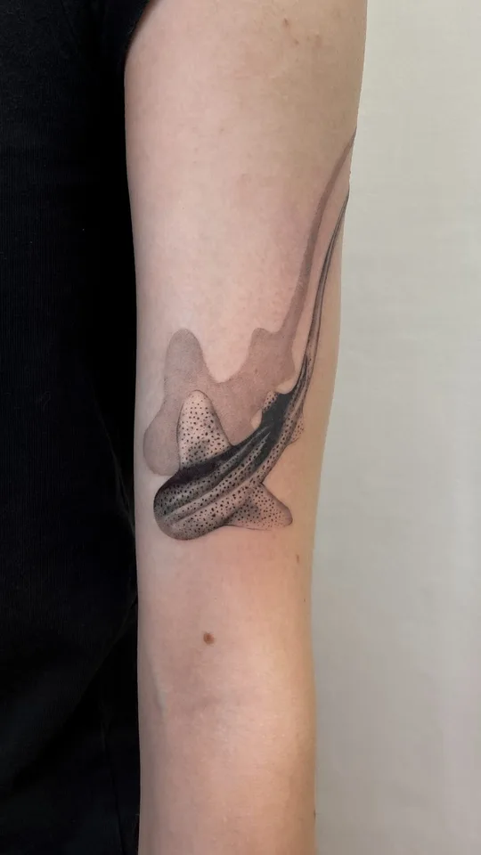 requin zèbre — Merci Mylene d’avoir choisi ce projet